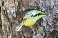 Image 1 of Custom Airbrushed S-CRANK 1.5 Squarebill Crankbait 0006