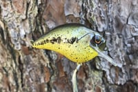 Image 3 of Custom Airbrushed S-CRANK 1.5 Squarebill Crankbait 0006