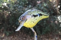 Image 9 of Custom Airbrushed S-CRANK 1.5 Squarebill Crankbait 0006
