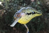 Image 6 of Custom Airbrushed S-CRANK 1.5 Squarebill Crankbait 0006