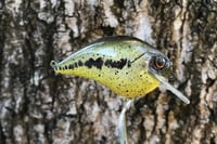 Image 12 of Custom Airbrushed S-CRANK 1.5 Squarebill Crankbait 0006