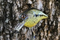 Image 13 of Custom Airbrushed S-CRANK 1.5 Squarebill Crankbait 0006