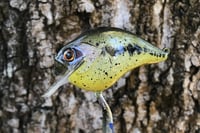 Image 11 of Custom Airbrushed S-CRANK 1.5 Squarebill Crankbait 0006