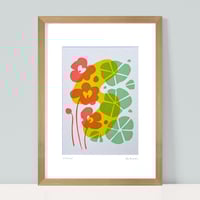 Image 1 of Nasturtiums