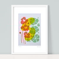 Image 2 of Nasturtiums