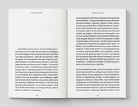 Image 6 of L'ARCHITECTURE EST AILLEURS - Thomas PATURET