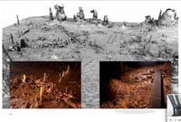 Image 10 of ACCATTONE 9