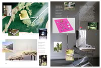 Image 14 of ACCATTONE 9