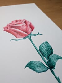 Image 2 of Rose 001