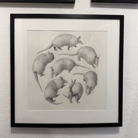 Image 2 of Roll by Danika Ostrowski - Framed Original Drawing