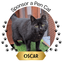 SPONSOR - Oscar
