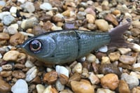 Image 1 of SPEEDBAITS Custom Airbrushed Glide Bait 6163