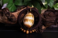 Image 5 of Brown hemp shell necklace