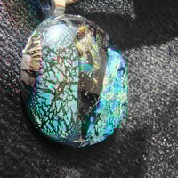 Image 2 of The Secret Grove