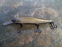 Gizzards Shad 110+1 KO