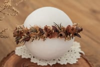 Newborn/Sitter Halo 254