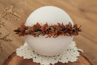 Newborn/Sitter Halo 256