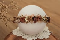 Newborn/Sitter Halo 257