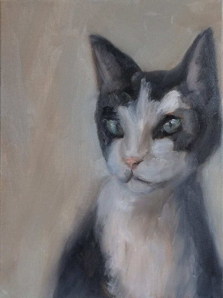 Image of Portrait d'un chat