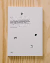 Image 2 of Running to the Sun by Antonina Gugała