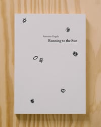 Image 1 of Running to the Sun by Antonina Gugała