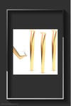 TCB Volume Single Tweezer 