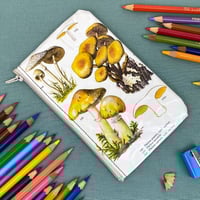 Image 1 of Mushrooms, Mycology Book Page Pencil Case