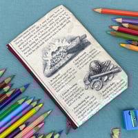 Image 2 of Dragonology, Bringing Up Baby Dragons, Book Page Pencil Case