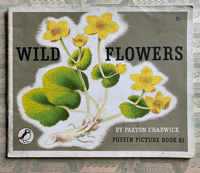 Image 1 of Wild Flowers Puffin Picture Book