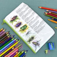 Image 1 of Praying Mantis, Stick Insects, Stink Bugs, Insects Book Page Pencil Case