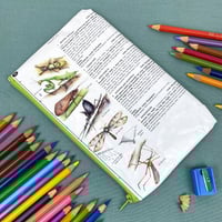 Image 2 of Praying Mantis, Stick Insects, Stink Bugs, Insects Book Page Pencil Case