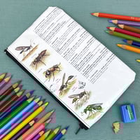 Image 1 of Wasps, Bees, Ants, Insects Book Page Pencil Case