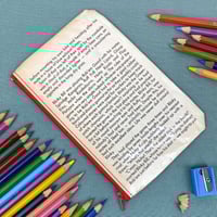 Image 2 of Blinky Bill, Australian Book Page Pencil Case