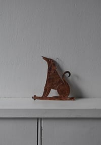 Image 3 of Little dog