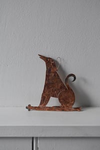 Image 1 of Little dog