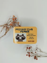 Mischief club member vinyylitarra