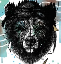 Image 3 of BEAR FOREST FACE x PAYS DE L'OURS