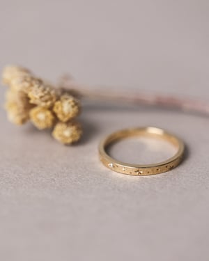 Image of 18ct Yellow gold 2mm ‘Star' Eternity ring