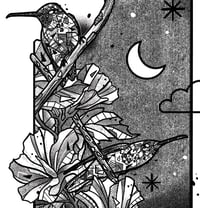 Image 4 of THE NIGHT OF HUMMINGBIRDS X FONDATION LE PAL NATURE