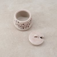 Image 3 of Plant Milk and Sugar Set