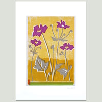 Image 4 of Ruby and Mustard Anemones