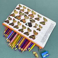Image 1 of Butterfly Entomology Book Page Pencil Case, Mixed 