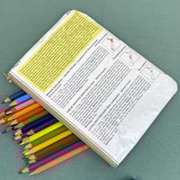 Image 2 of Kiwi, New Zealand Birds Guide Book Page Pencil Case