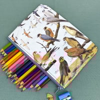Image 1 of Falcons, Australian Birds Guide Book Page Pencil Case