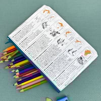 Image 2 of Kookaburra, Kingfisher, Australian Bird Guide Book Page Pencil Case