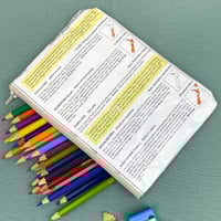 Image 2 of Owls, Kookaburra, Kingfisher, Australian Birds Guide Book Page Pencil Case