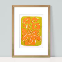 Image 2 of Orange Primulas