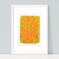 Image 3 of Orange Primulas