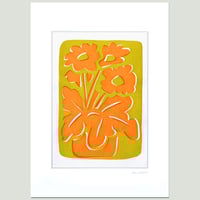 Image 1 of Orange Primulas