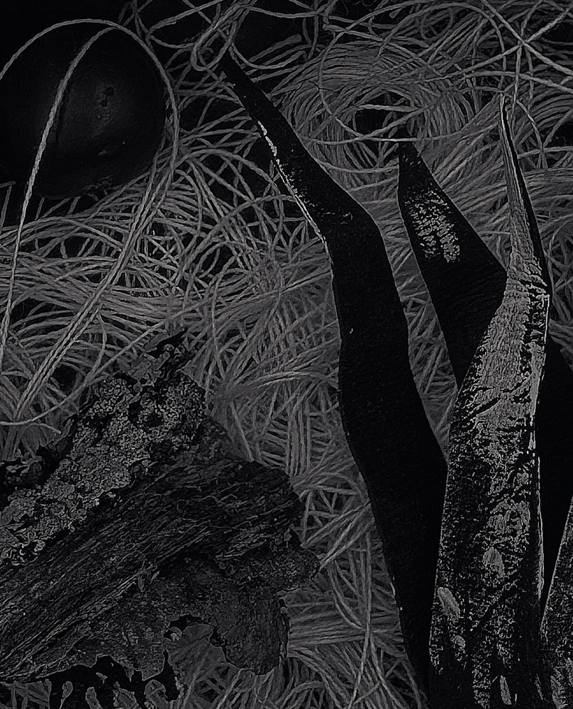 Image of A Strange Thing